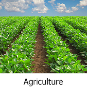 agriculture.jpg